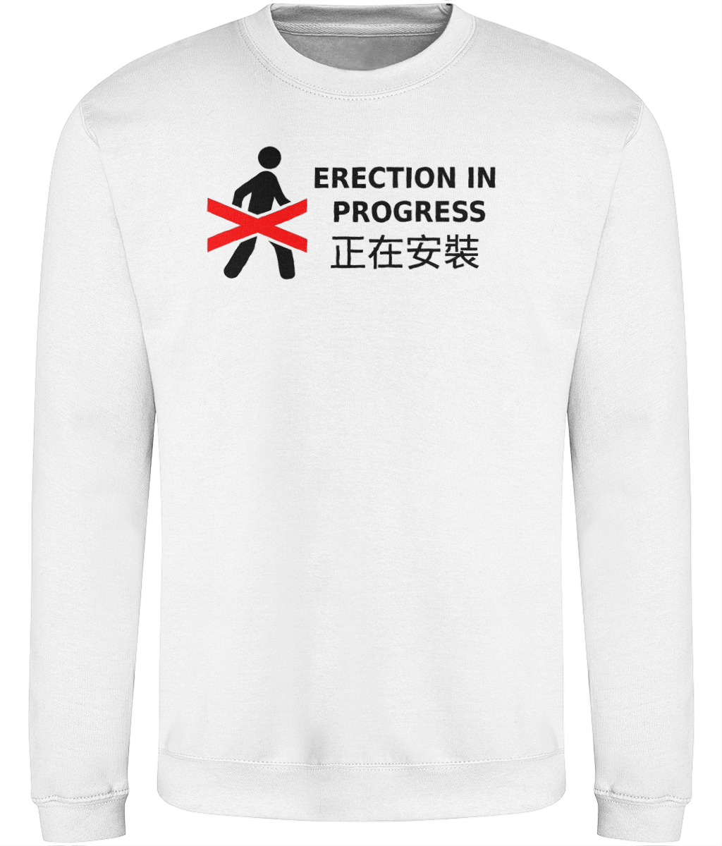 Erection in Progress Graphic Sweatshirt