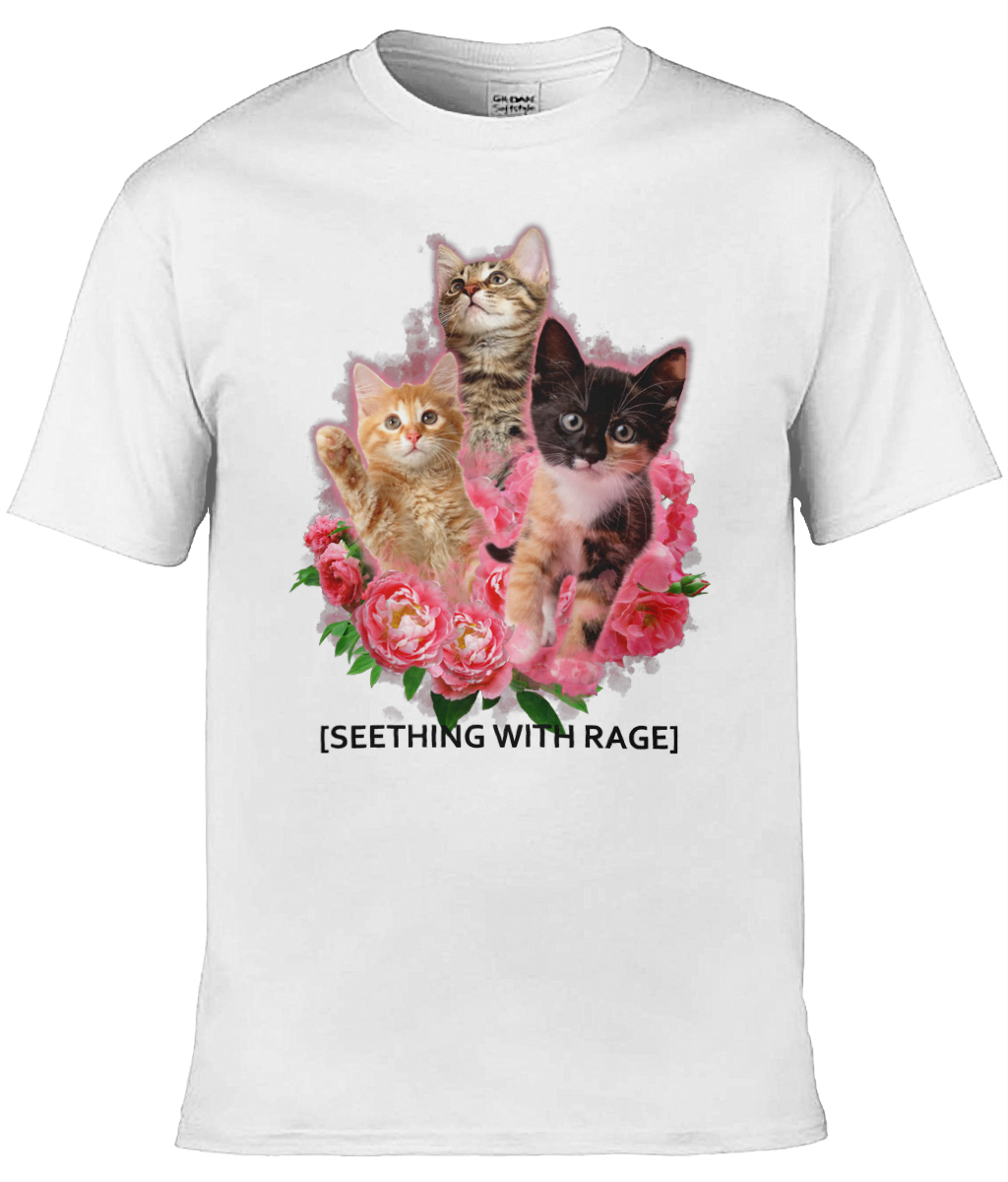 Seething With Rage Graphic Tee