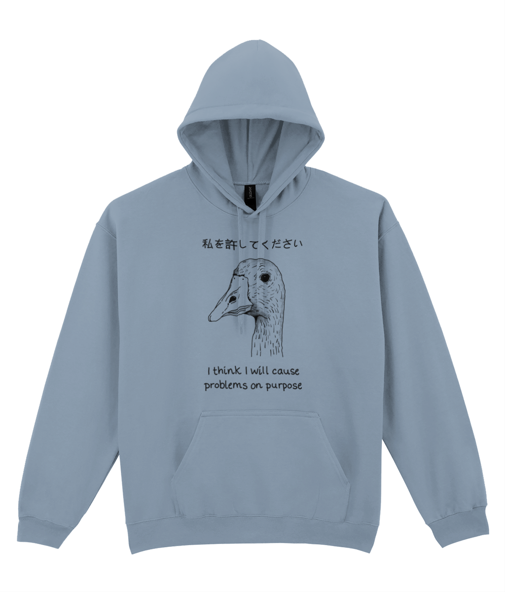 I Will Cause Problems Graphic Hoodie