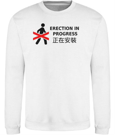 Erection in Progress Graphic Sweatshirt