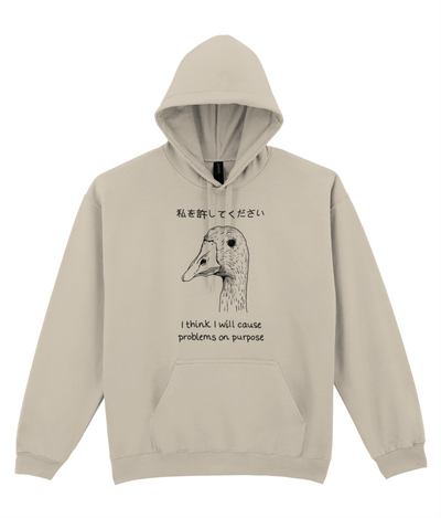 I Will Cause Problems Graphic Hoodie