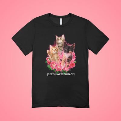 Seething With Rage Graphic Tee