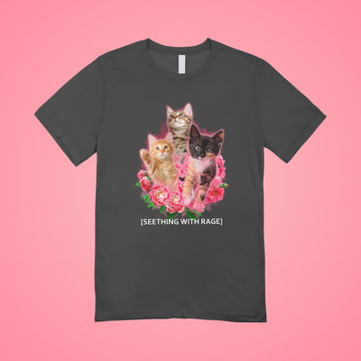 Seething With Rage Graphic Tee